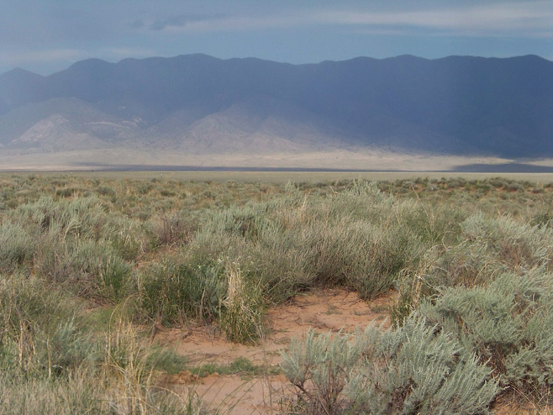 Rio Grande Estates UV, Blk 1405, L16